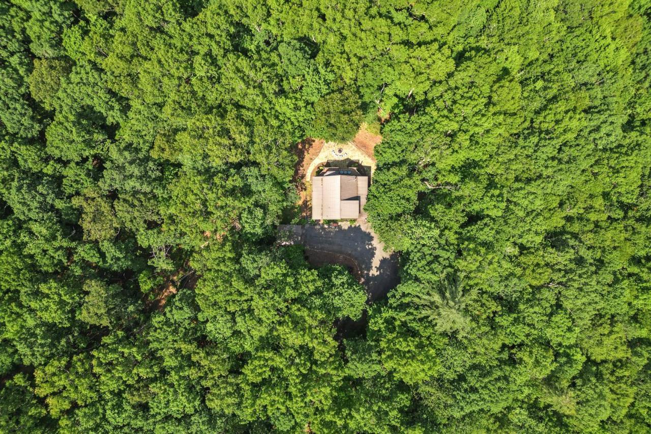 Bear Naked Bungalow Blue Ridge Bagian luar foto